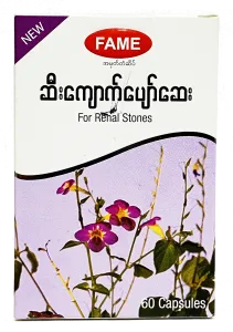 Fame Renal Stones